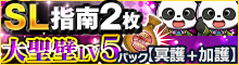SL指南2枚！大聖壁LV5パック【冥護＋加護】など