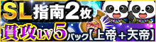 SL指南2枚！貫攻LV5パック【上帝+天帝】など